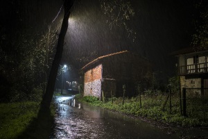 DSC6255