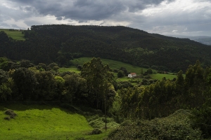 14a