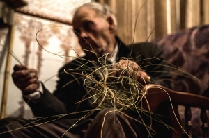 ©Francisco L. Conde